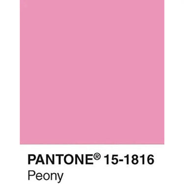 Boîte de cartes postales Pantone
