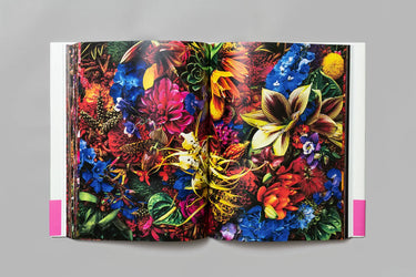 Encyclopedia of Flowers, Vol. VI: 2022 – 2024 - Azuma Makoto, Shiinoki Shunsuke