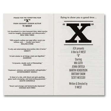 X: The Novel