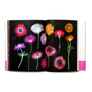Encyclopedia of Flowers, Vol. VI: 2022 – 2024 - Azuma Makoto, Shiinoki Shunsuke