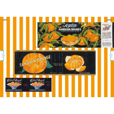 A Collection of Canned Food Labels