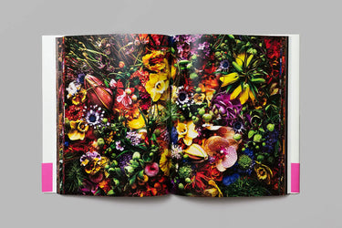 Encyclopedia of Flowers, Vol. VI: 2022 – 2024 - Azuma Makoto, Shiinoki Shunsuke