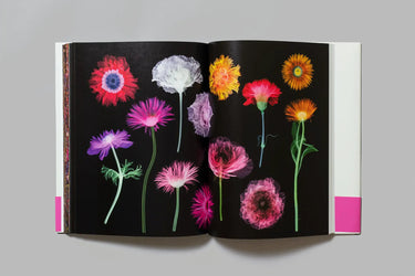 Encyclopedia of Flowers, Vol. VI: 2022 – 2024 - Azuma Makoto, Shiinoki Shunsuke