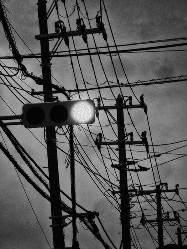 Daido Moriyama: Record 61