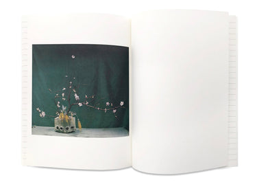 Ikebana  An IDEA Book