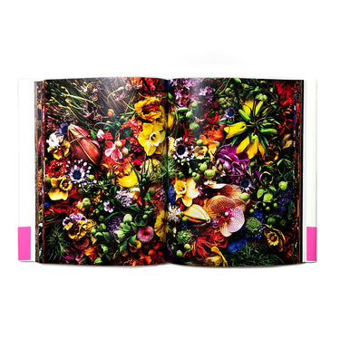 Encyclopedia of Flowers, Vol. VI: 2022 – 2024 - Azuma Makoto, Shiinoki Shunsuke