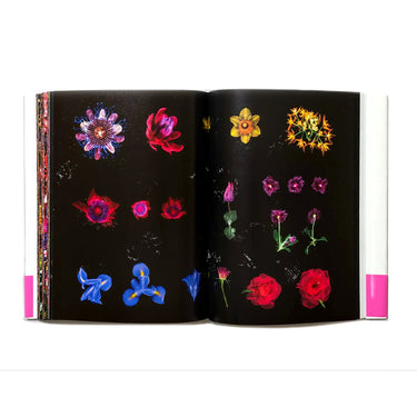 Encyclopedia of Flowers, Vol. VI: 2022 – 2024 - Azuma Makoto, Shiinoki Shunsuke