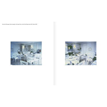 Paris Living Rooms - Dominique Nabokov