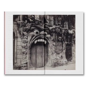 The Devouring Eye : Photography And the Mouth - Olivier Richon
